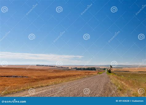 Canadian prairie stock photo. Image of manitoba, field - 49143628