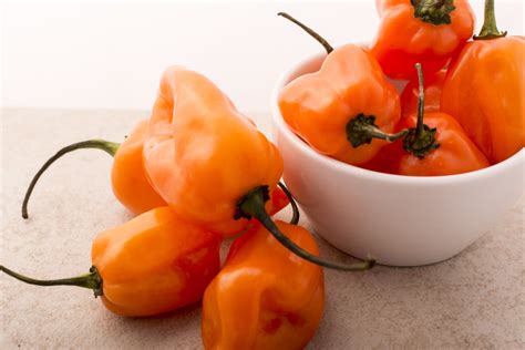 Pepper, Hot Habanero Orange - Heirloom – Hometown Seeds