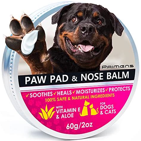 The Best Paw Cream For Dog -Reviews & Buying Guide – Cchit.org