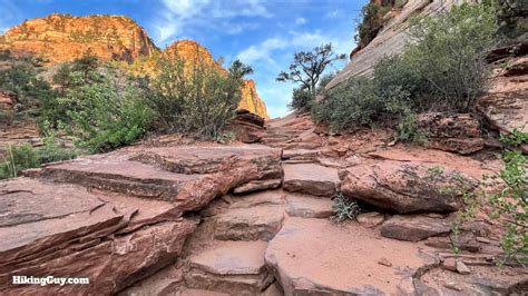 Canyon Overlook Trail (Zion) - HikingGuy.com