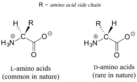 6.3 Chirality in Chemical, Environmental and Biological Systems ...