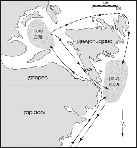 Migration routes and breeding areas of the northwest Atlantic harp seal ...