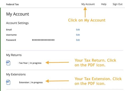 How to Prepare and e-File an IRS State Income Extensions