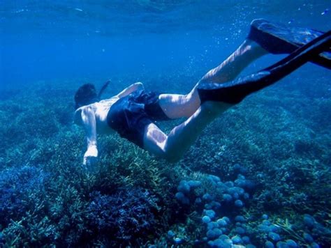 Bali Snorkeling Tour at Blue Lagoon Beach Padang Bay Private Transfer All-Inclusive 2023