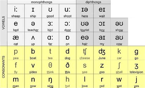 How the Phonetic Alphabet Will Help You Learn a Language | Lingoda | Phát âm, Ipa, Tiếng anh