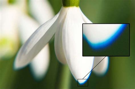 What Is Chromatic Aberration And How To Avoid It (Examples)