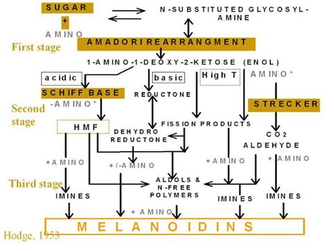 Coffee Chemistry Made Simple: A Look at What Happens Inside the Bean