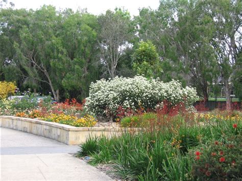 Gondwana Nursery: Gold Coast Botanic Gardens - amazing flowering gardens