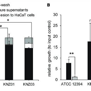 | Adherence to human keratinocytes (HaCaT cells) and bacterial growth ...