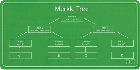 Introduction à l’arbre Merkle – StackLima