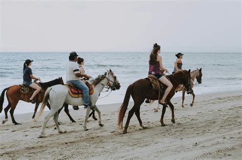 Horseback Riding On The Beach: Ultimate Guide 2021 - Todays Equine