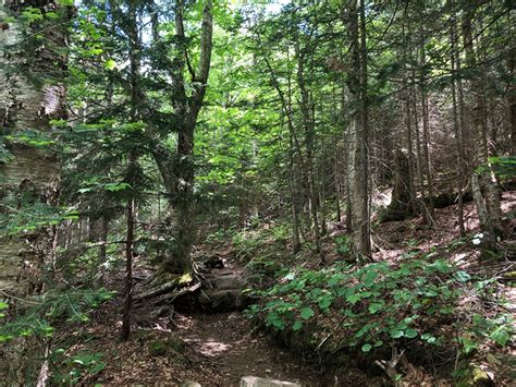 Hike Blue Mountain - Protect the Adirondacks!