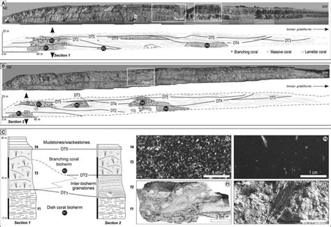 Geometry of sedimentary packages in the Calcaire de Tonnerre Formation.... | Download Scientific ...