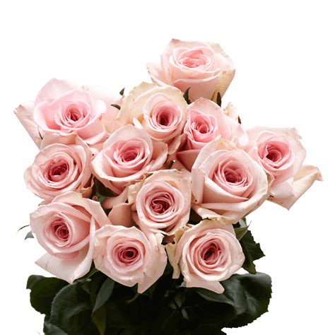 Beautiful Mother's Day Roses | GlobalRose