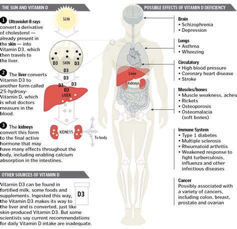 Vitamin D Supplement Side Effects - Vitamin D Benefits And Side Effects | Dietary Supplement ...