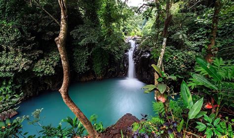 19 BEST WATERFALLS IN BALI TO VISIT IN 2024 | Honeycombers Bali