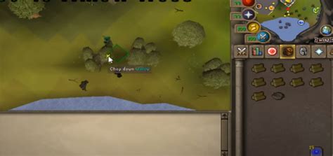 OSRS 1-99 Woodcutting Guide - NovaMMO