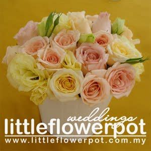 Little Flower Pot and Gifts PUTRAJAYA KL SELANGOR NEGERI SEMBILAN ...
