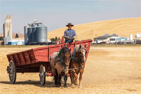 Horse Drawn Threshing Farm Equipment Editorial Stock Photo - Image of ...