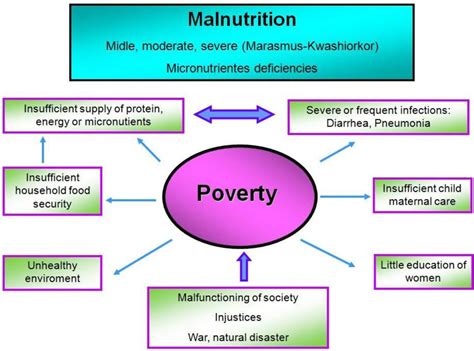 IJERPH | Free Full-Text | Malnutrition and Gastrointestinal and Respiratory Infections in ...