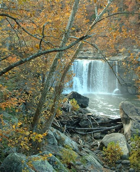 Horace Manure's World: Kentucky Waterfalls