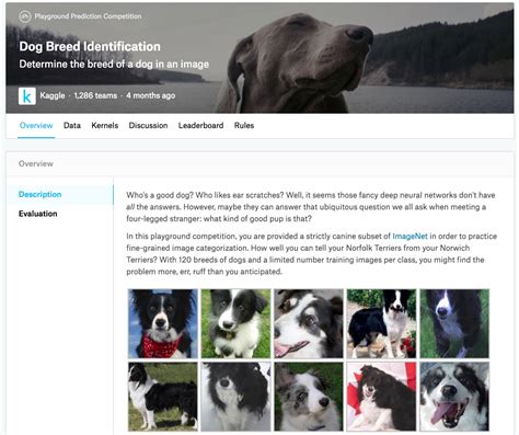 14.14. Dog Breed Identification (ImageNet Dogs) on Kaggle — Dive into ...