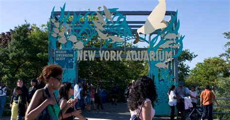 New York Aquarium: Tickets, Hours, and Visitor Tips