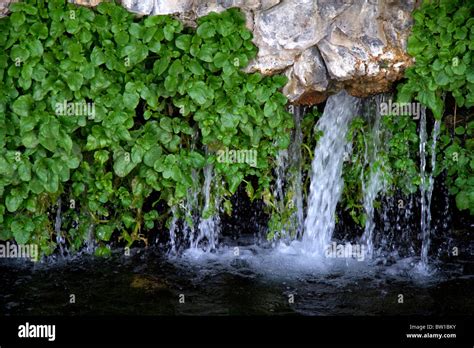 Natural Spring Water