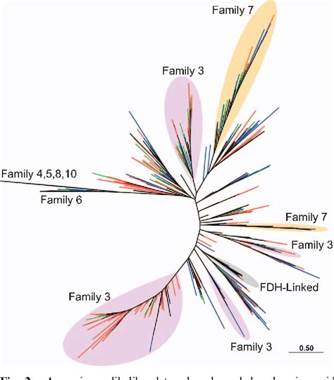 Wolbachia endosymbiont of Nasutitermes takasagoensis | Semantic Scholar