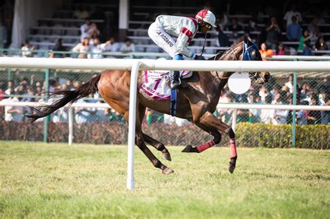 Betting on the Big Races: Kentucky Derby, Preakness Stakes, and Belmont Stakes