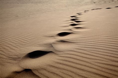 Free Photo | Closeup shot of singing sand in a desert on a sunny day