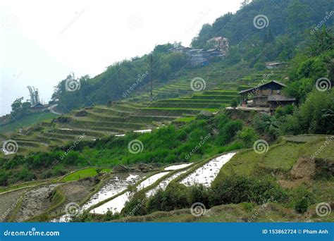 Travel in Asia, Sapa, Lao Cai, Vietnam Stock Photo - Image of plant, farm: 153862724