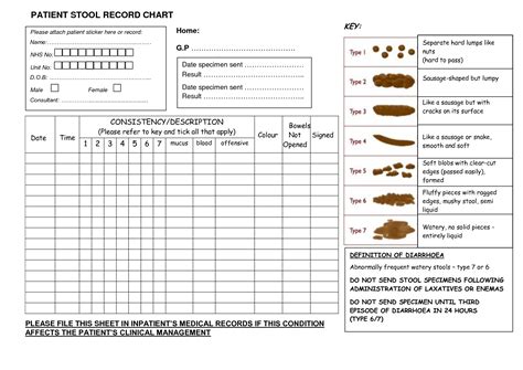 Stool Record Chart | Bowel Movement Tracker