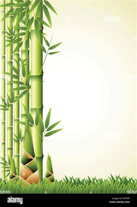 Nature background design with bamboo illustration Stock Vector Image ...