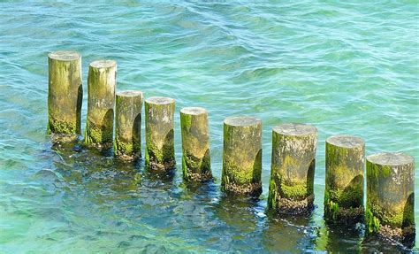 HD wallpaper: wooden stomps on water at daytime, sea, coast, baltic sea, breakwater | Wallpaper ...