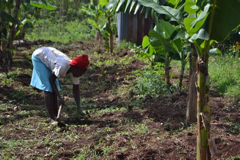 Why we’re replacing our scholarships with agricultural projects – Team Kenya