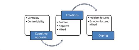 Study framework-the cognitive appraisal process. | Download Scientific ...