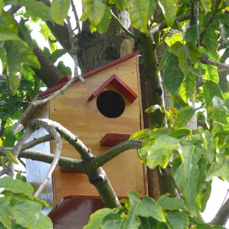 Squirrel Tree House - GardenStuff