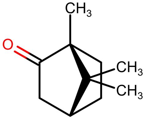 Camphor - Camphor Essential Oil, Uses, Toxicity, Side Effects