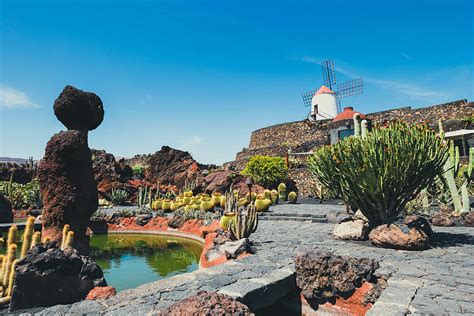 Cactus Gardens (Lanzarote) 2024 • Everything you should know - Go Lanzarote