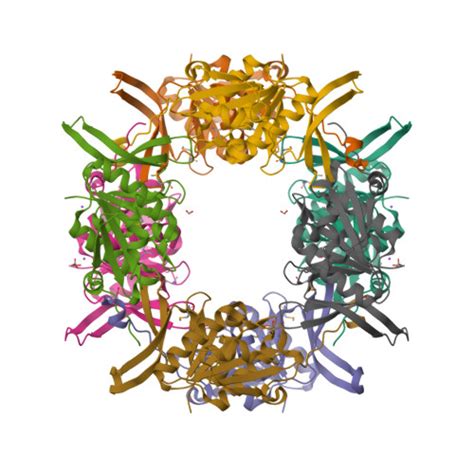 RCSB PDB - 3IH5: Crystal Structure of Electron Transfer Flavoprotein alpha-subunit from ...