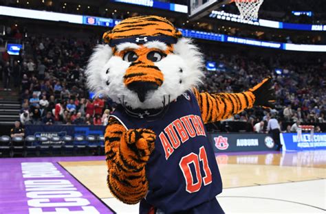 Aubie the Tiger wins 10th UCA National Championship title