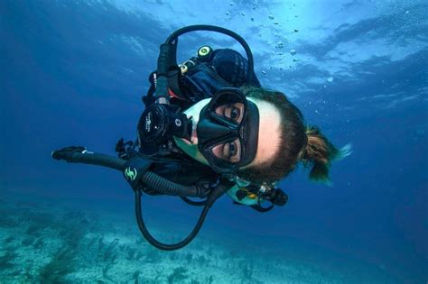 Best Bull Shark Diving From Cancun - A' HA' Scuba Diving