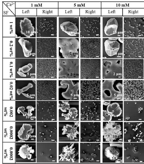 Figure S6 SEM images of calcium carbonate crystals collected at the ...