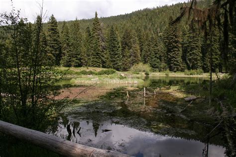 Trout Farm Campground - Prairie City, Oregon | Malheur Forest