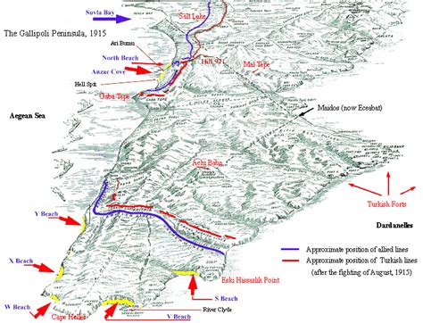 Battle of Gallipoli (Gallipoli Peninsula, 1915) battlegif [GIF] [600x996] [OC] : r/MapPorn