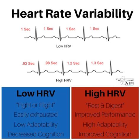 HRV Heart Rate Variability — CONFLUENCE COACH