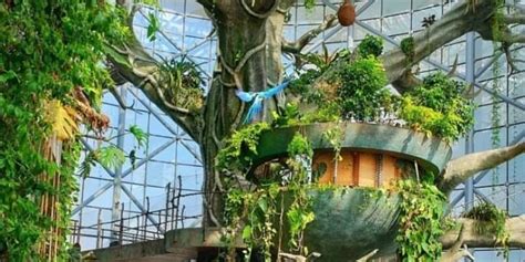 Green Planet Dubai - Unique Indoors Rain Forest | Touristino