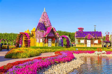 Dubai Miracle Garden: A Virtual Tour To World’s Largest Flower Garden