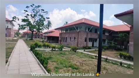 Wayamba University of Sri Lanka 👩‍🎓 ️#wusl #universitylife - YouTube